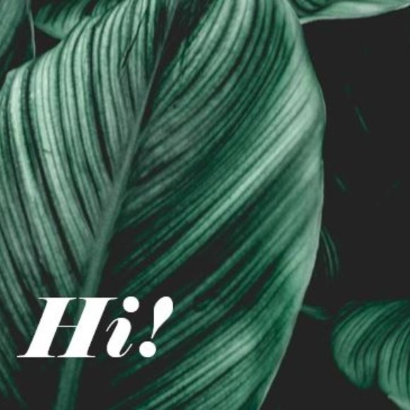 Meet your Posher, Katie - Picture 1 of 1